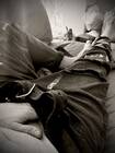 Chris