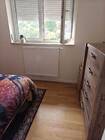 Kamer verhuur - room for rent - Regio Waregem