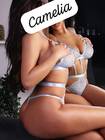 Cam