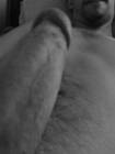 Le coquin