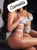 Cam