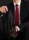 Le Maitre des Secrets