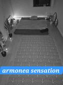 Armonea