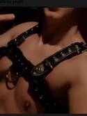 horny gay