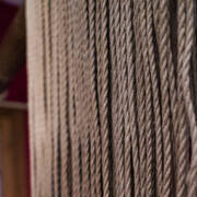 Yosh Paradoxe (Photo #16)