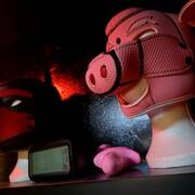 Sanctuaire des maîtresses et du maître