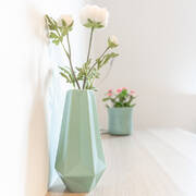 Appart  Louer (Photo #18)