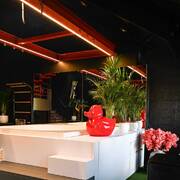 Cosy Corner Waterloo (Photo #7)