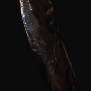 Michelle (Photo #24)