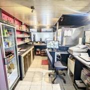 Le Faisan doré (Photo #4)