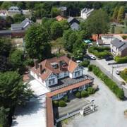 Le Faisan doré (Photo #1)