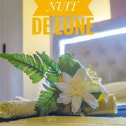 Nuit de lune (Photo #10)