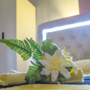 Nuit de lune (Photo #9)