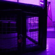 L\'envers du miroir (Photo #1)