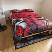 Kamer verhuur - room for rent - Regio Waregem (Photo #7)