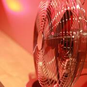 La Fraiseraie (Photo #29)