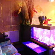 Bar chez line (Photo #2)