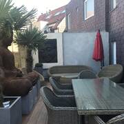 Orchidée (Photo #18)