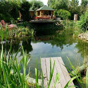 Interlude (Photo #12)