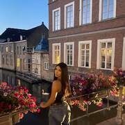 Flavia trans (Photo #25)