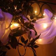 Morgane Forever (Photo #5)