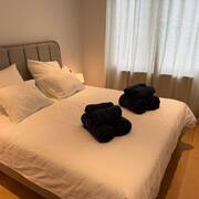 Appartements à louer (Photo #21)