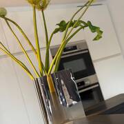 Appartements à louer