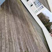 Appartements à louer (Photo #15)