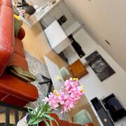 Appartements à louer (Photo #9)