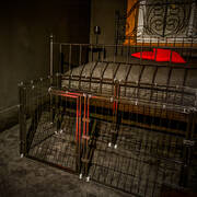 Béatrix de Lacourt (Photo #18)