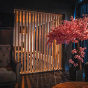 Loft ardent (Photo #23)