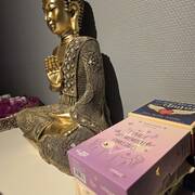 Douceur d\'Ange (Photo #6)