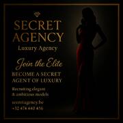 Secret Agency (Photo #5)