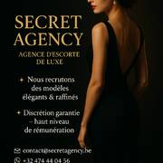 Secret Agency