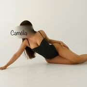 Camélia (Photo #1)