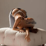 Camélia (Photo #2)