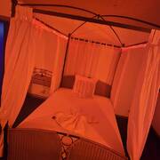 New Blue Moon Kuurne (Photo #7)