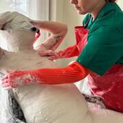 Mistress Henriette (Photo #5)