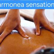 Armonea
