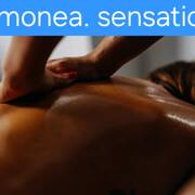 Armonea