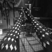 Matresse Evi (Photo #10)