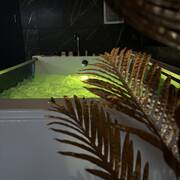 Le bovary (Photo #9)