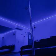 Le bovary (Photo #3)