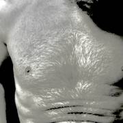 David (Photo #22)
