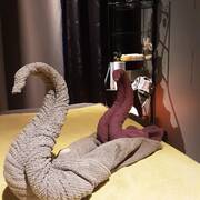 Fernanda (Photo #19)