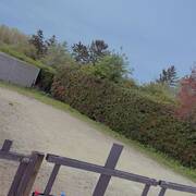 Jennifer (Photo #18)