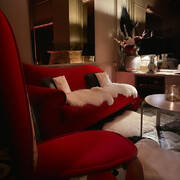 Club Penthouse