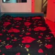 BELGIUM HOUSING RENT (Photo #9)