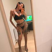 Aylla dotada (Photo #1)