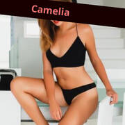 Camélia